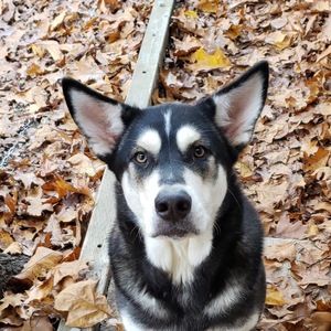 Meet your Posher, Mariah